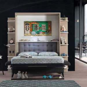 Armoire lit escamotable vertical 2 places Smart lit